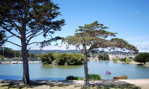 Monterey Bay Lodge image 27